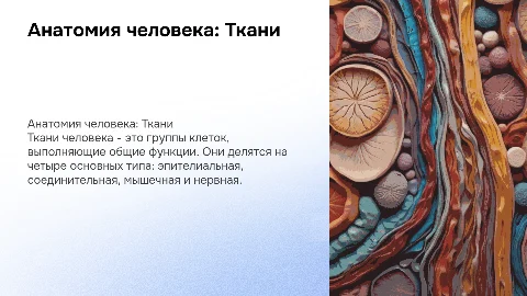 Анатомия человека "ТКАНИ"