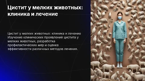 Цистит у мелких животных: клинические проявления и лечение