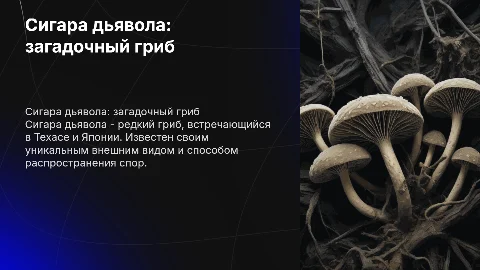 Сигара дьявола и факты о нём