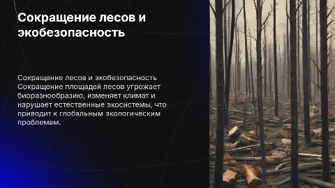 сокращение площадей лесов как угроза экологической безопасности