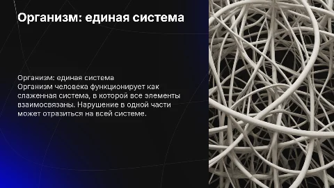 Организм единое целое