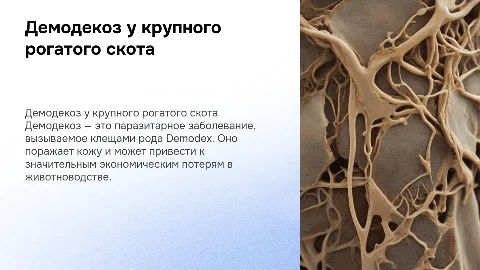 демодекоз крупно рогатого скота
