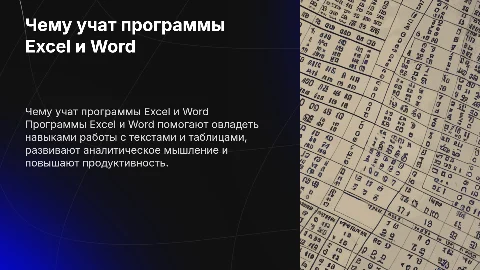 Чему учат программы Excel и Word