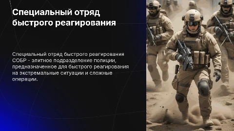 Специальный отряд быстрого реагирования (СОБР)
