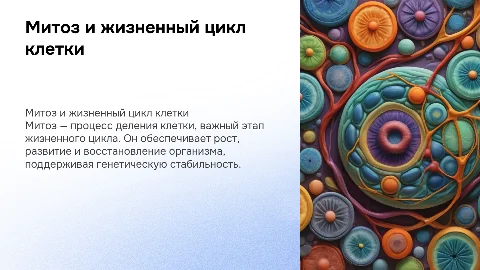 Митоз. Жизненный цикл клетки