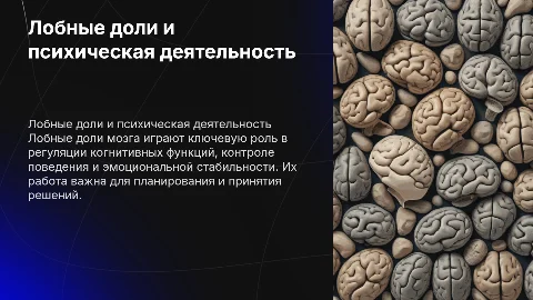 Лобные доли мозга и регуляция психической деятельности