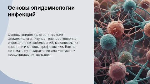 Основы эпидемиологии инфекционных болезней и пути заражения