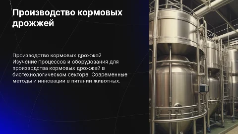 Технологические операции по производству кормовых дрожжей