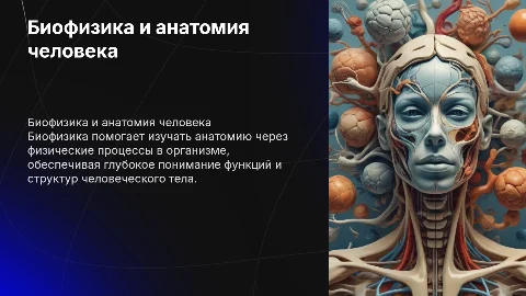 Биофизика в изучении анатомии человека