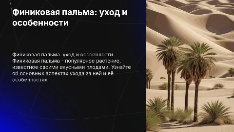 финиковая пальма общие сведения и уход