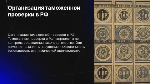 Организация и проведение таможенной проверки В РФ