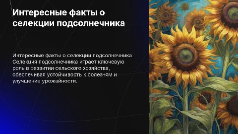 Интересные факты о селекции подсолнечника