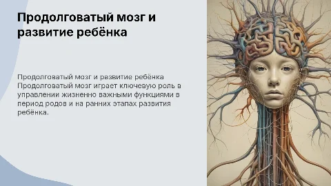 Продолговатый мозг: значение в родах и развитии ребёнка
