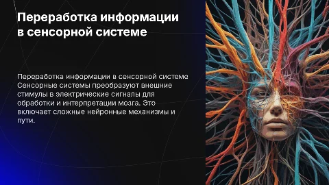 Механизмы переработки информации в сенсорной системе