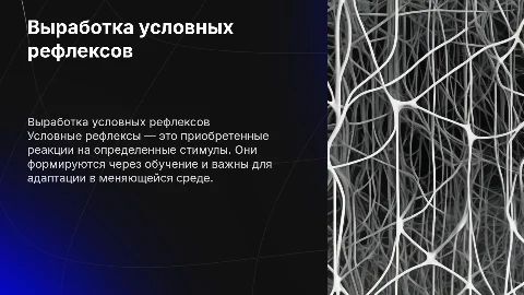 Выработка условных рефлексов