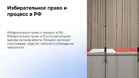 Избирательное право и процесс в Российской Федерации