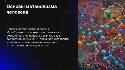 Метаболизм