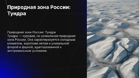 Природная зона России-Тундра