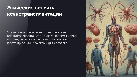 моральные этические проблемы ксенотрансплантации