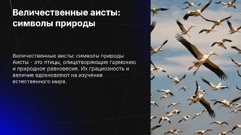 аисты