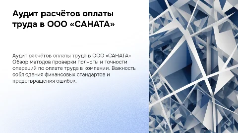 Аудит операций расчетов по оплате труда в ООО «САНАТА»