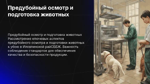 Особенности предубойного осмотра и подготовки животных