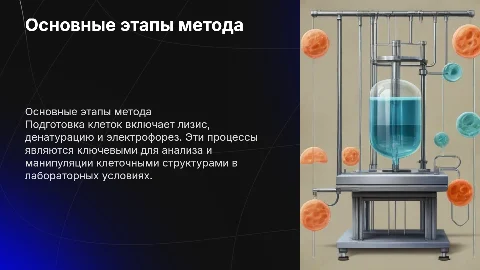 Основные этапы метода подготовки клеток: лизис, денатурация