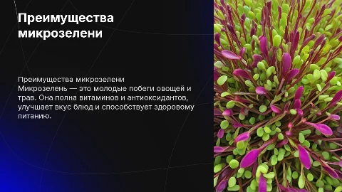 микрозелень