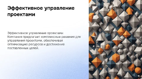 компания управляющая проектом