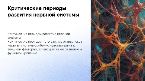 Критические периоды в развитии нервной системы