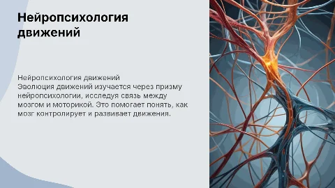 Развитие движений с точки зрения нейропсихологии