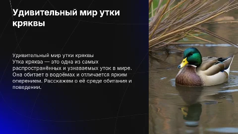 утка кряква