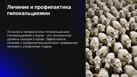 Лечение и профилактика гипокальциемии у коров