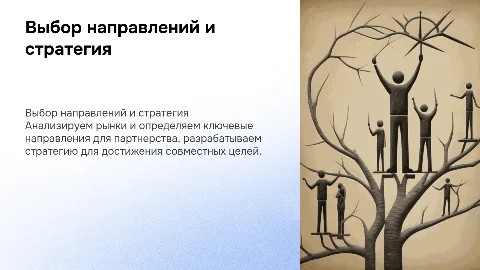 Выбор направлений и стратегия для партнёров