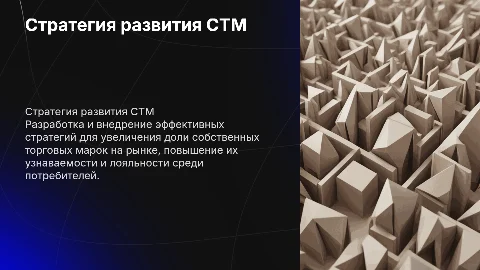 Стратегия развития собственных торговых марок (СТМ)