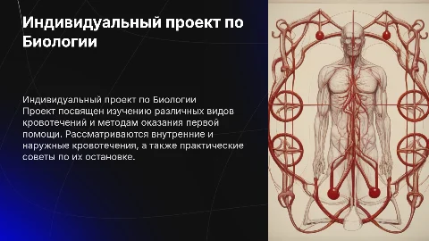 Индивидуальный проект по Биологии: виды кровотечений и помощь