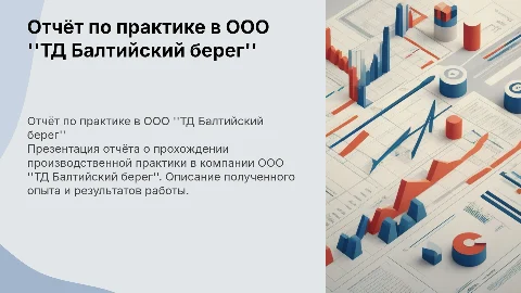Отчёт по производственной практики ООО "ТД Балтийский берег"