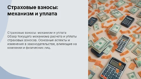 Страховые взносы: действующий механизм исчисления и уплаты