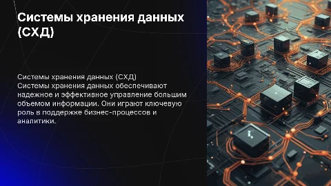 Системы хранения данных (СХД)