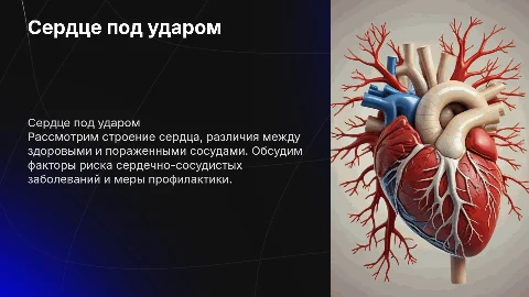 Сердце под ударом: визуализация строения сердца и сосудов