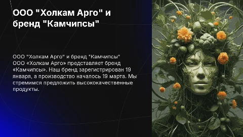 Презентация бренда «Камчипсы» от ООО «Холкам Арго»