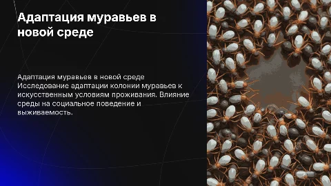 адаптация колонии муравьев к искусственной среде обитания