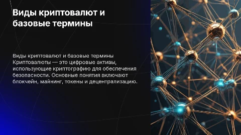 Виды криптовалют и основные понятия