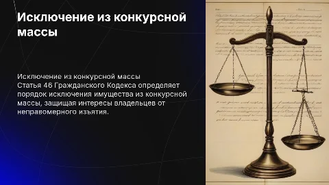 Исключение из конкурсной масса (статья 46 Гражданского Кодекса)