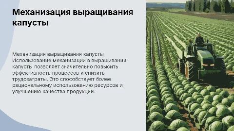 Механизация процессов выращивания капусты в сельском хозяйстве