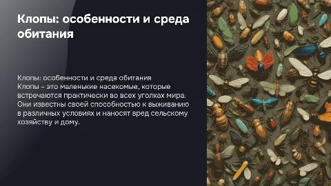клоп насекомое