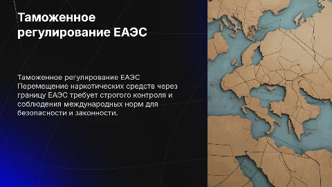 Таможенное регулирование перемещения наркотиков через границу ЕАЭС