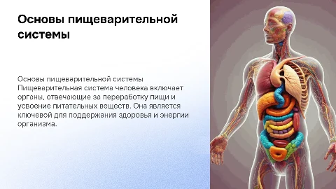 пищеварительная система