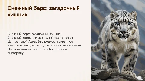 снежный барс с картинками и викториной