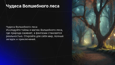 Волшебный лес